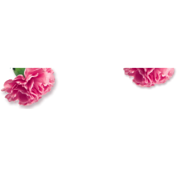 <span style="color: #07aefc"></span>素材