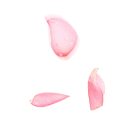 <span style="color: #07aefc"></span>素材