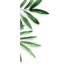<span style="color: #07aefc"></span>素材
