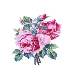 <span style="color: #07aefc"></span>素材