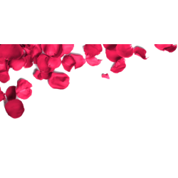 <span style="color: #07aefc"></span>素材