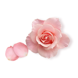 <span style="color: #07aefc"></span>素材