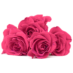 <span style="color: #07aefc"></span>素材