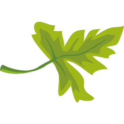 <span style="color: #07aefc"></span>素材