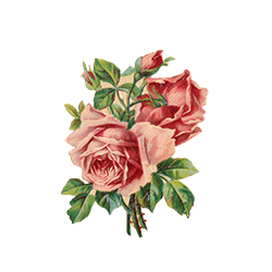 <span style="color: #07aefc"></span>素材