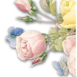 <span style="color: #07aefc"></span>素材