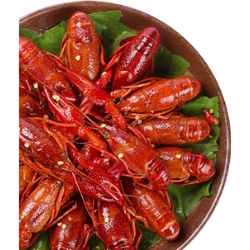 <span style="color: #07aefc"></span>素材
