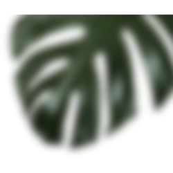 <span style="color: #07aefc"></span>素材