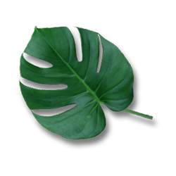 <span style="color: #07aefc"></span>素材
