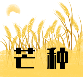 <span style="color: #07aefc"></span>芒种朋友圈封面模板在线设计制作生成